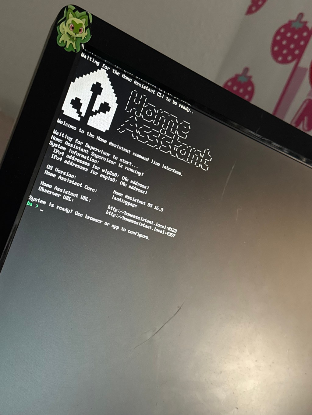 Solving Problems with Pixels: Smart Tech Meets Indoor Gardening