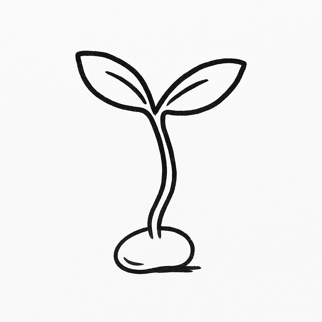 💚Bean There, Sprouted That: Easy Kitchen Counter Gardening for Hot Messes & Health&nbsp;Queens💚